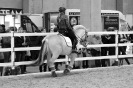 2015 Int Horse Show Sweden_1