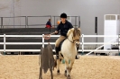 2015 Int Horse Show Sweden_5