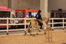 2015 Int Horse Show Sweden_6