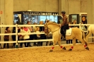 2015 Int Horse Show Sweden_7