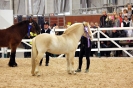 2015 Int Horse Show Sweden_8
