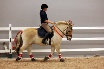 2015 Int Horse Show Sweden_9